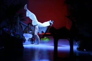 show-capoeira-desfile-13