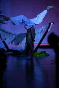 show-capoeira-desfile-3
