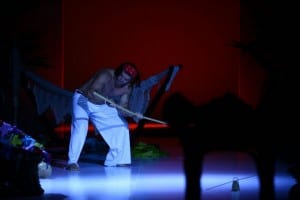 show-capoeira-desfile-4